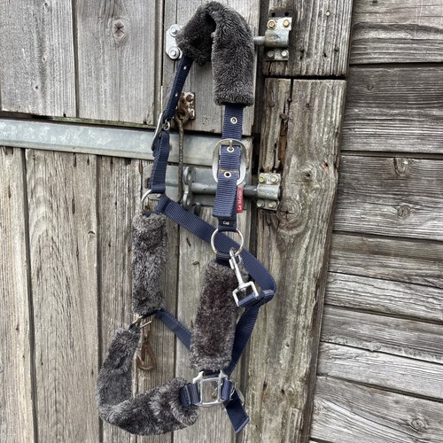 Mieux headcollar size cob - mieux,