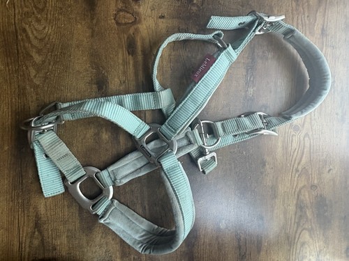 Mieux aqua headcollar - le,