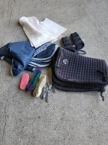 Bundle equine items - of,