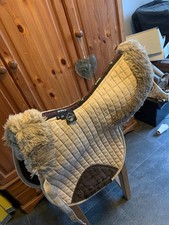 Le Mieux Pro Sport Nummnah